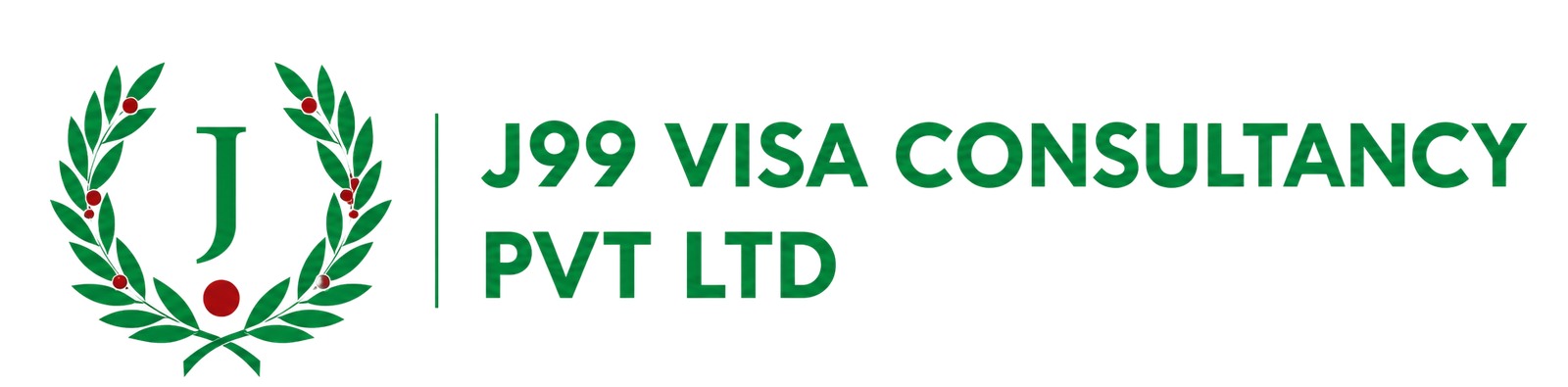 J99_Visa_logo21.png